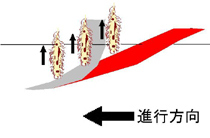 ６．収穫作業（１１月）